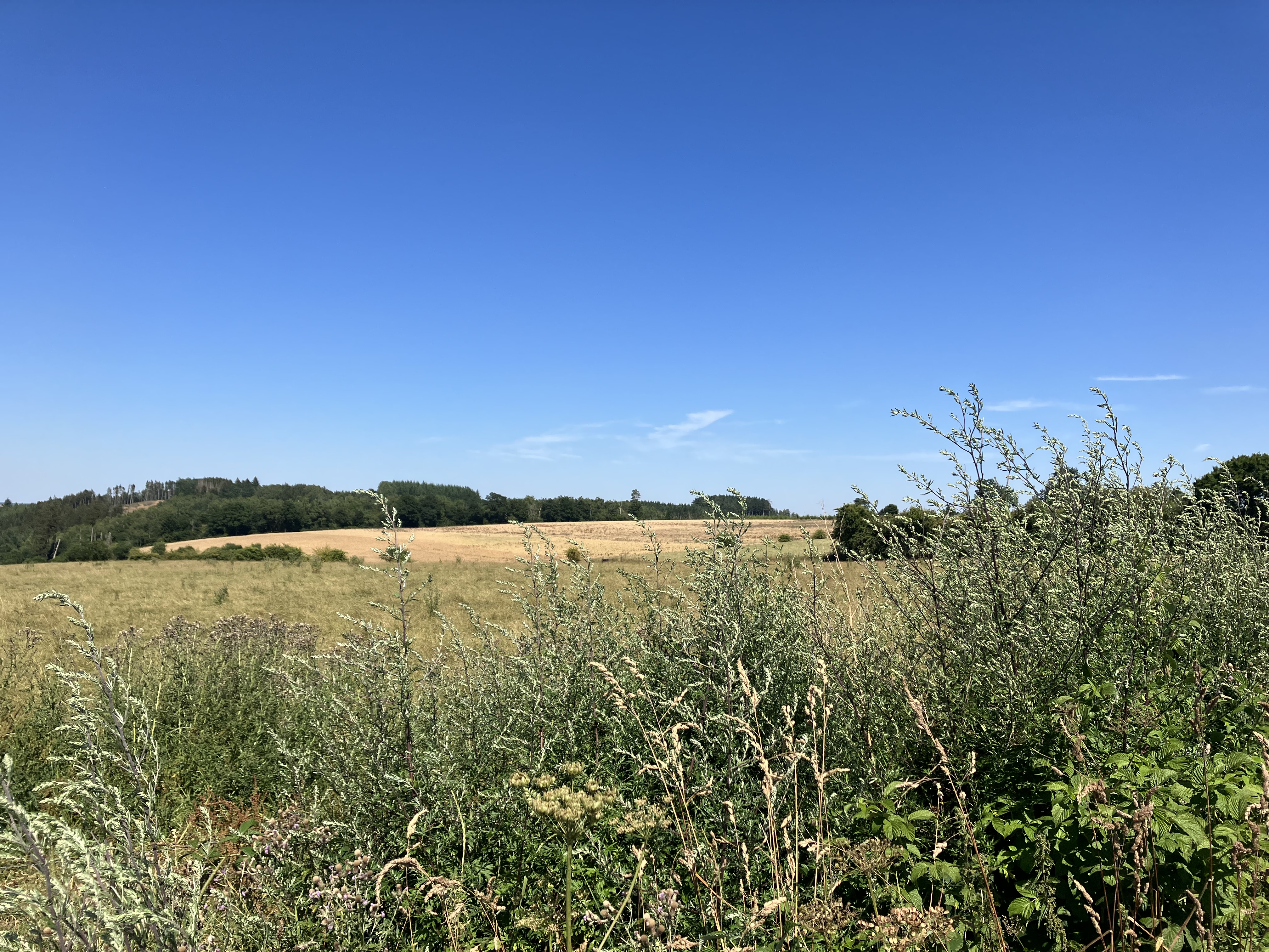 réseau Terraé