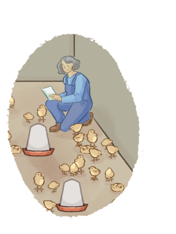 Maria avec les poussins