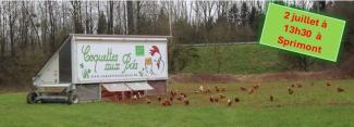 Visite ferme