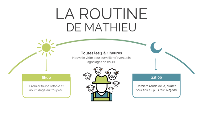 routine de Mathieu