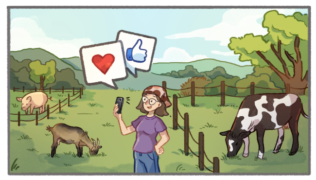 Réseaux sociaux