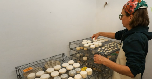 Fabrication du kéfir