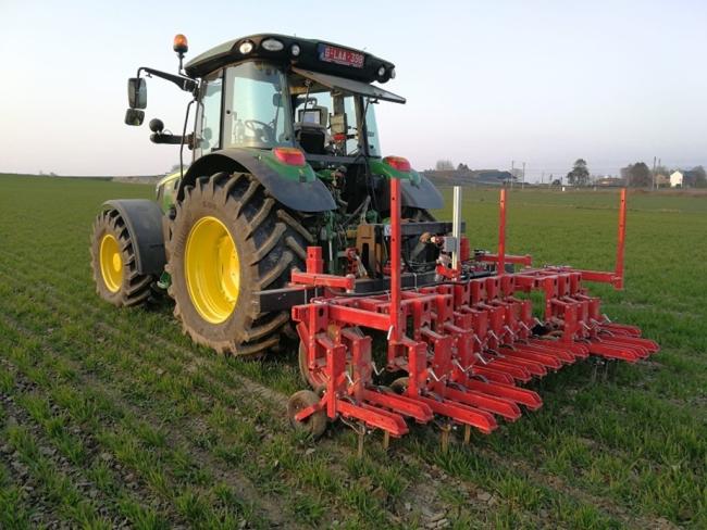 Bineuse équipée d'une caméra de guidage dans une parcelle de froment panifiable