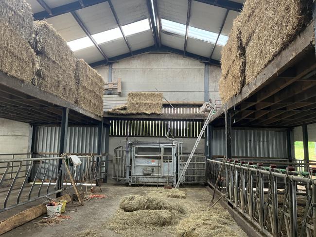 Bascule pour peser les animaux