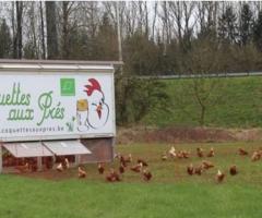 Visite ferme