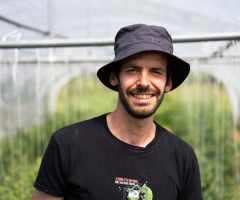 Légumes de Tom